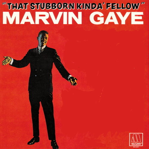 That Stubborn Kinda Fellow