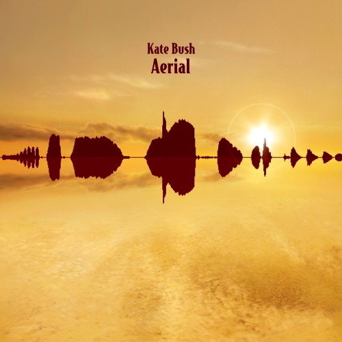 Pochette de Aerial