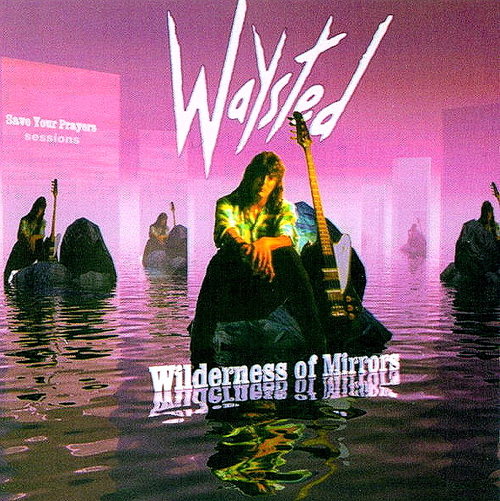 Wilderness Of Mirrors