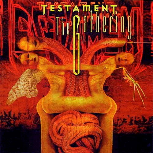 Pochette de The Gathering