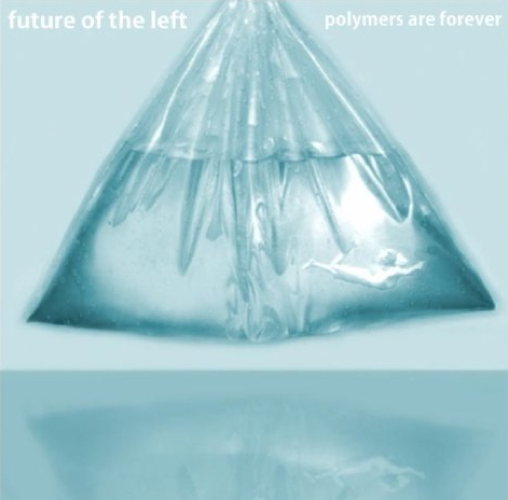 Polymers Are Forever