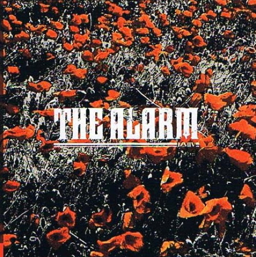 In The Poppy Fields
