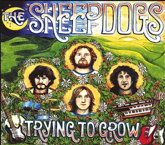 Pochette de Trying To Grow