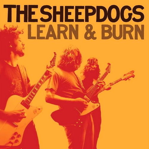 Learn & Burn