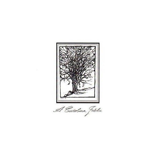 Pochette de A Carolina Jubilee