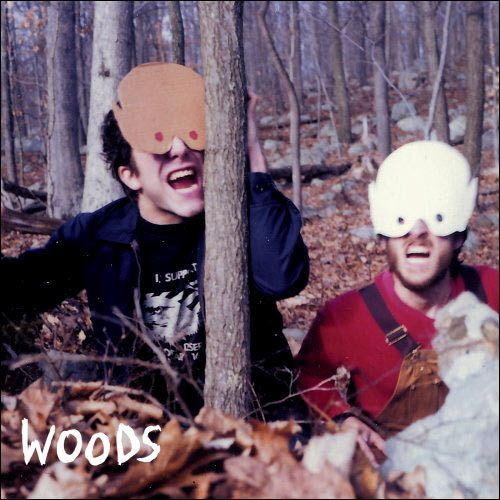 Pochette de How To Survive In/In The Woods