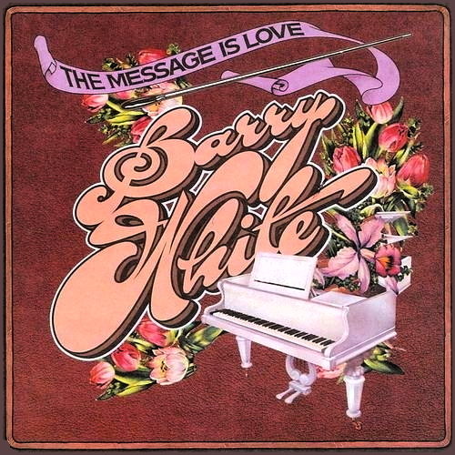 Pochette de The Message Is Love