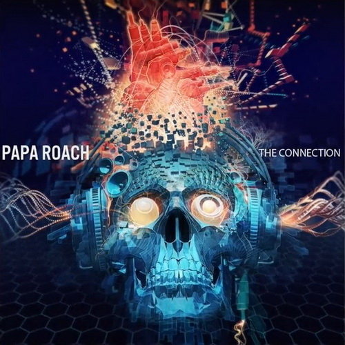 Pochette de The Connection