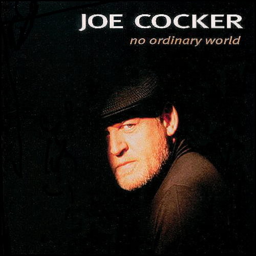 Pochette de No Ordinary World