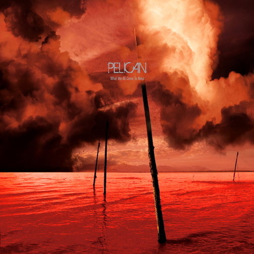 Pochette de What We All Come To Need