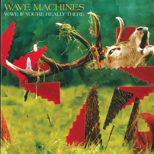 Pochette de Wave If You're Really There