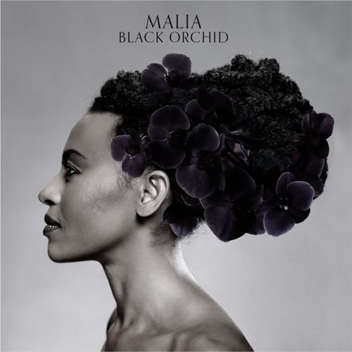 Pochette de Black Orchid