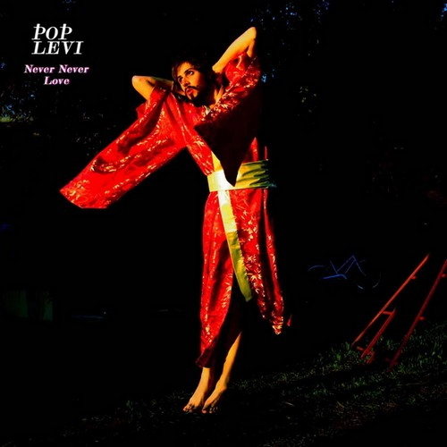 Pochette de Never Never Love