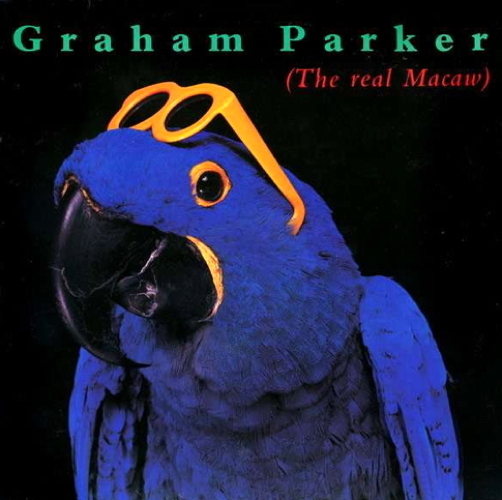 Pochette de The Real Macaw