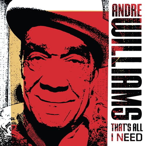 Pochette de That's All I Need
