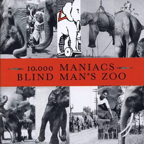 Pochette de Blind Man's Zoo