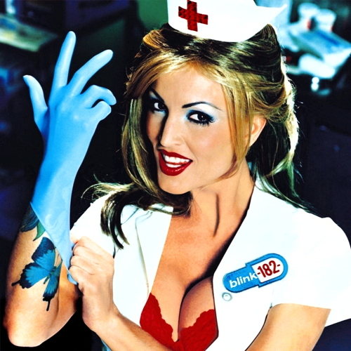 Pochette de Enema Of The State