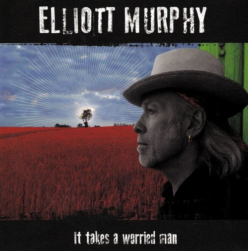 Pochette de It Takes A Worried Man