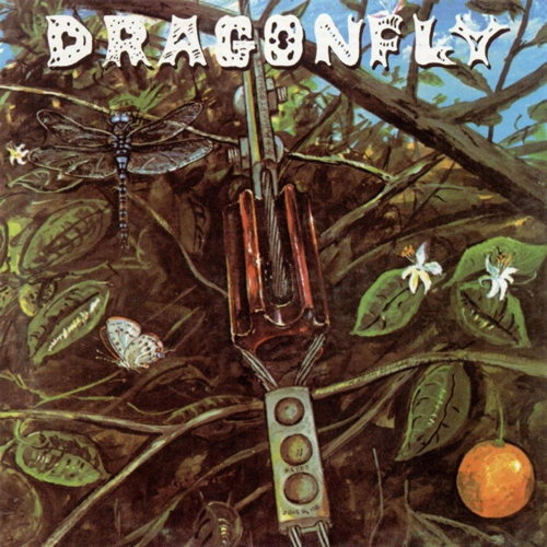 Pochette de Dragonfly