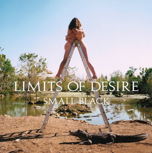 Pochette de Limits Of Desire