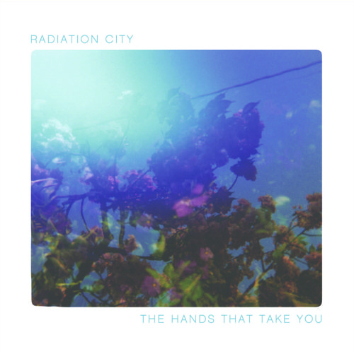 Pochette de The Hands That Take You