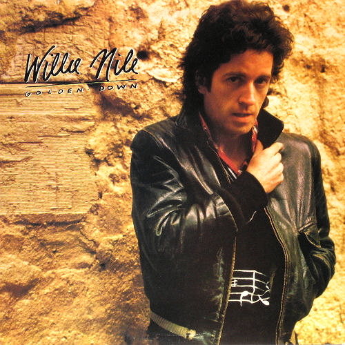 Pochette de Golden Down