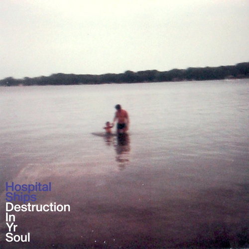 Pochette de Destruction In Yr Soul