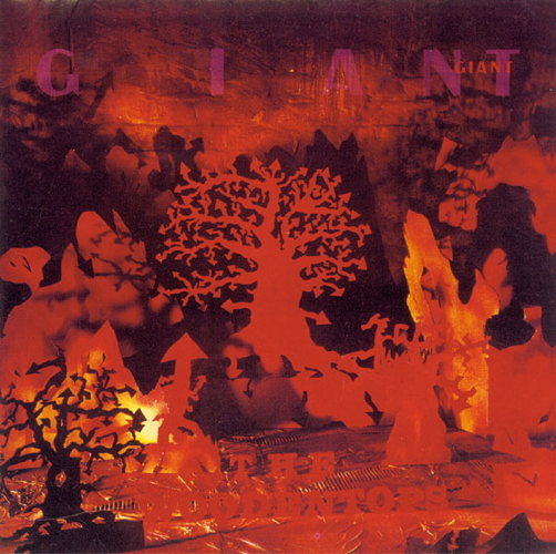 Pochette de Giant