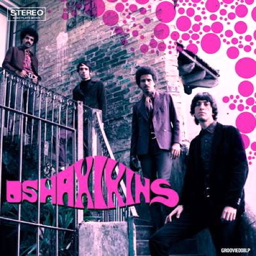 Os Haxixins