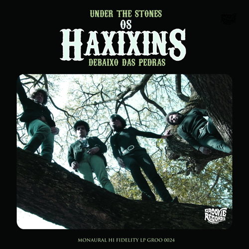Pochette de Under The Stones