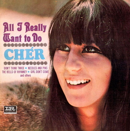Pochette de All I Really Want To Do