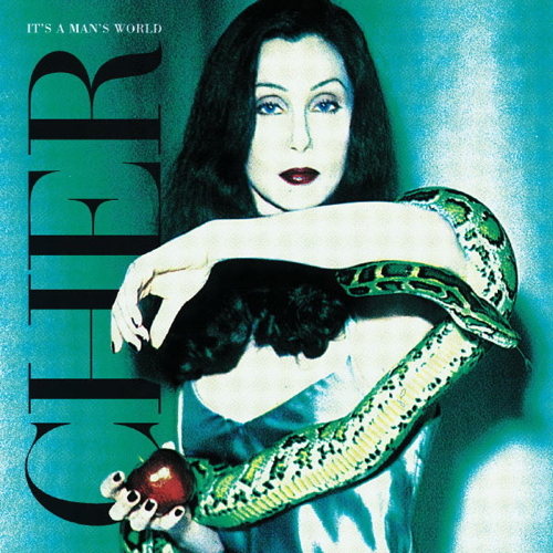 Pochette de It's A Man's World