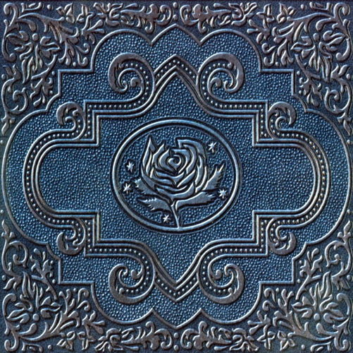 Cold Roses