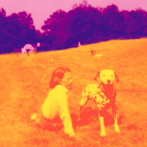 Pochette de Blinking Lights And Other Revelations