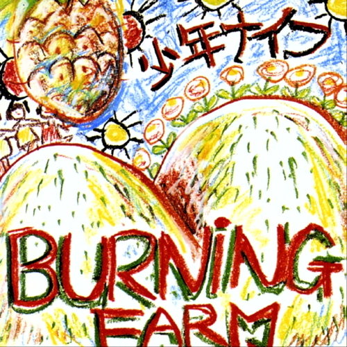 Pochette de Burning Farm