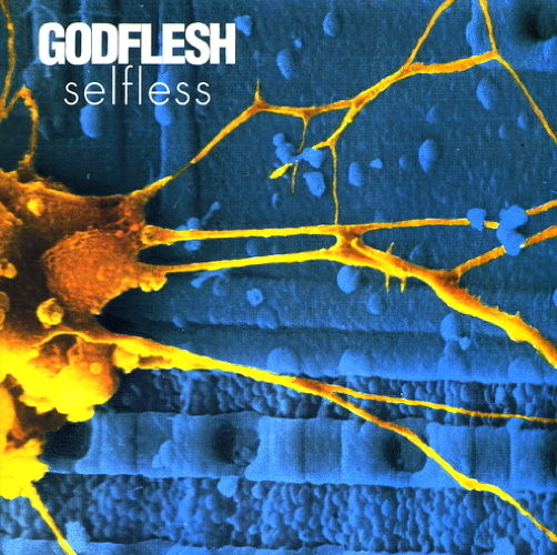 Pochette de Selfless