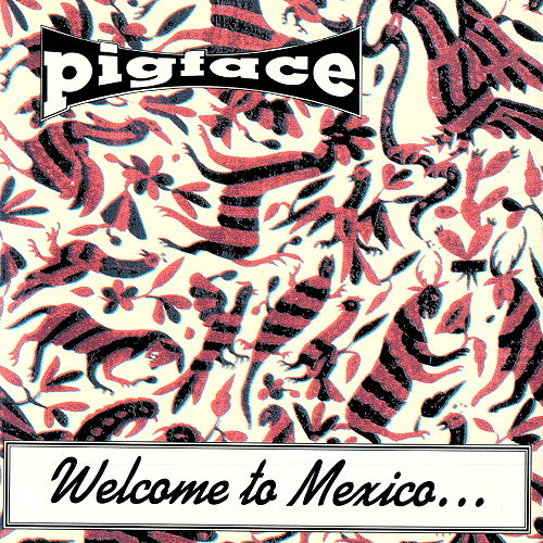 Welcome To Mexico... Asshole