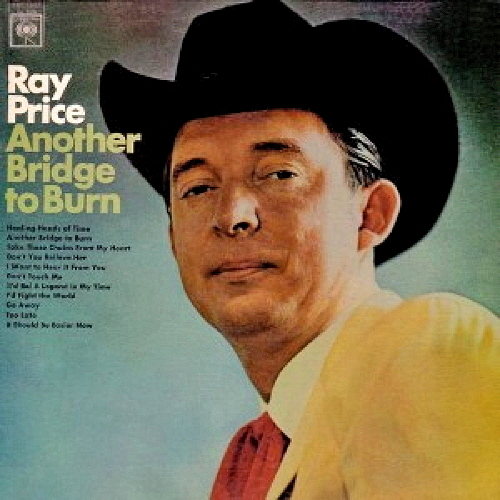 Pochette de Another Bridge To Burn