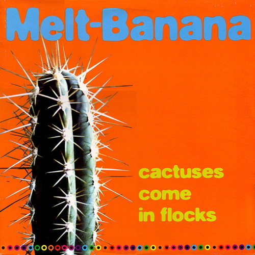 Pochette de Cactuses Come In The Flocks