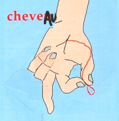 Cheveau