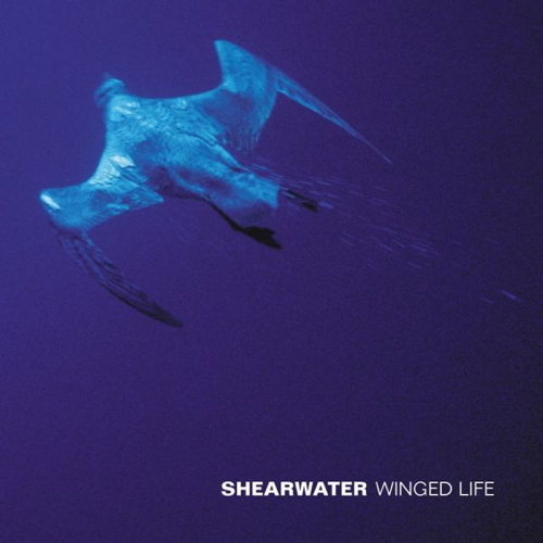 Pochette de Winged Life