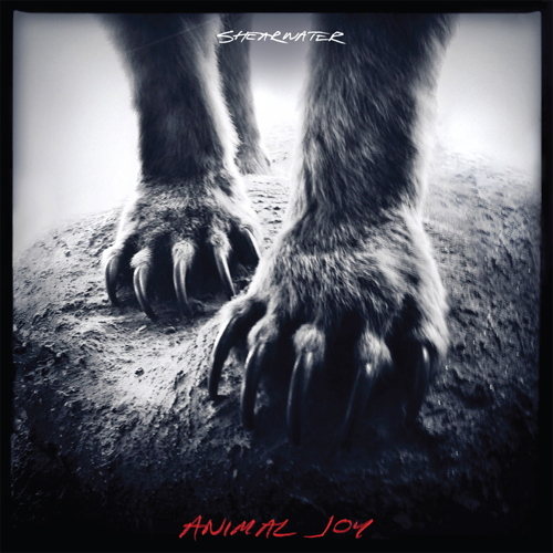 Pochette de Animal Joy