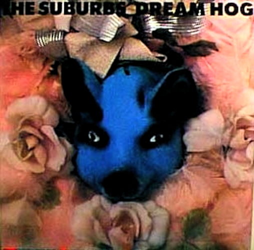 Pochette de Dream Hog