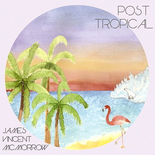 Pochette de Post Tropical