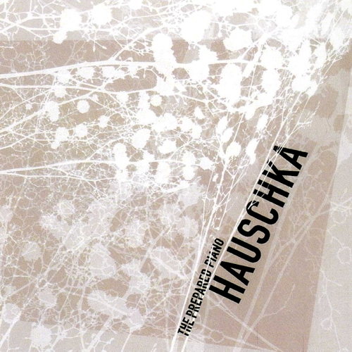 Pochette de The Prepared Piano