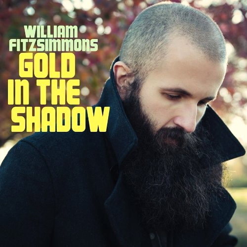 Pochette de Gold In The Shadow