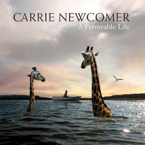 Pochette de A Permeable Life