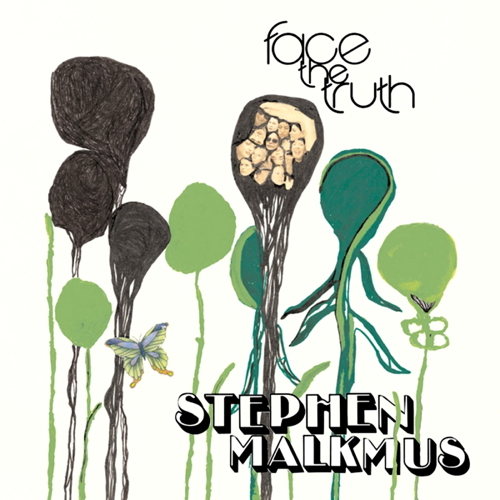 Pochette de Face The Truth