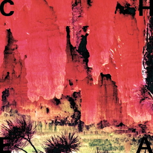 Pochette de Cheatahs
