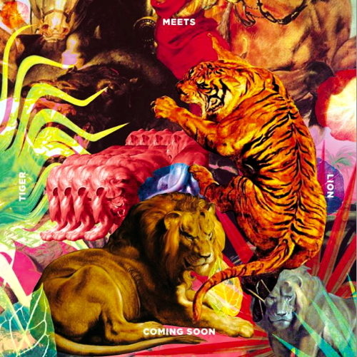 Pochette de Tiger Meets Lion